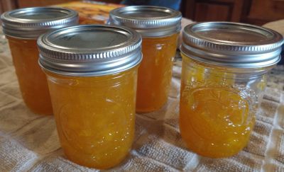 Mango Jam